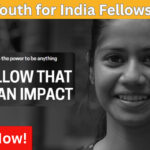 SBI Youth for India Fellowship How to Apply
